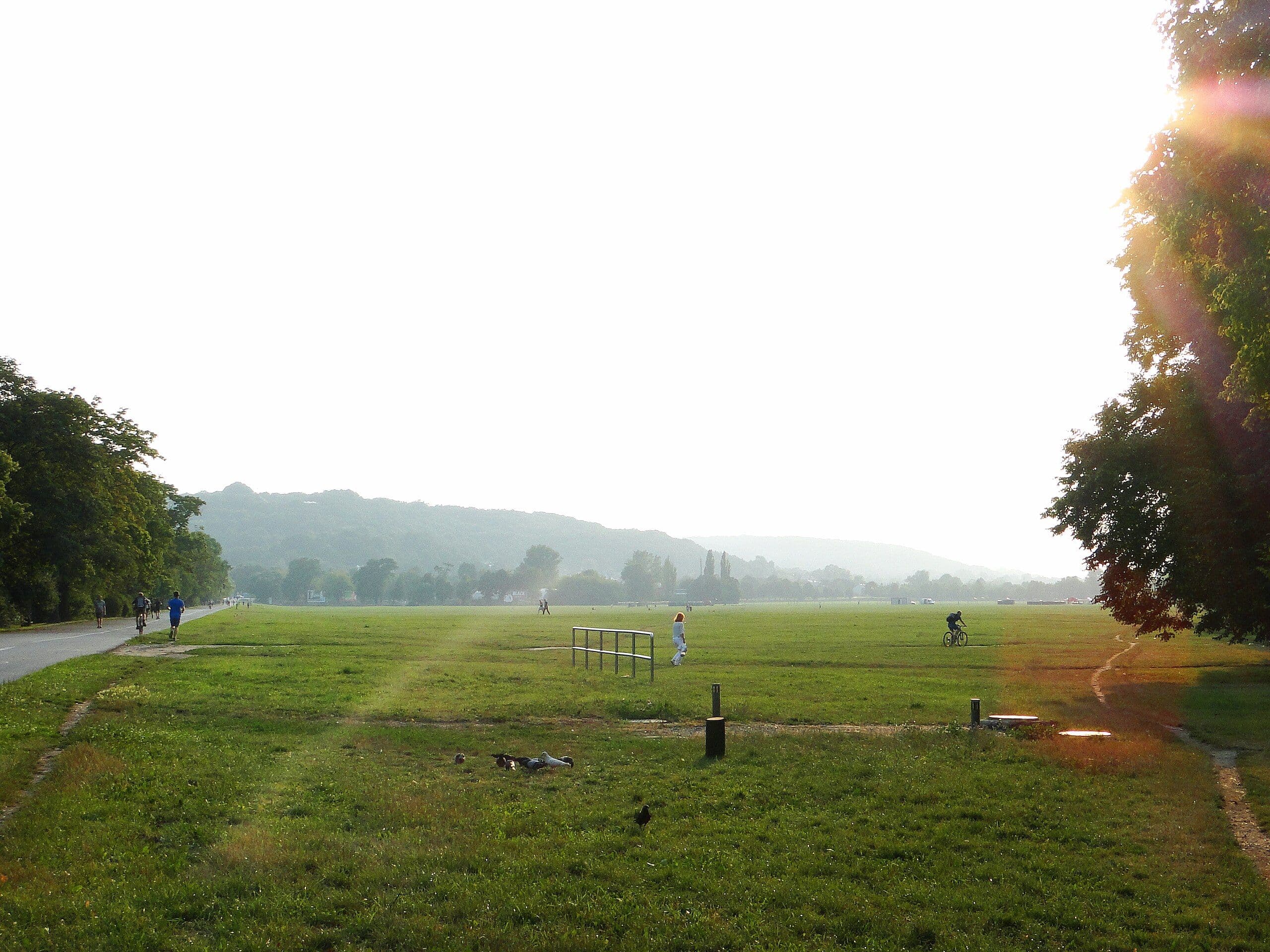 Błonia Kraków – The Great Meadow at the Heart of the City