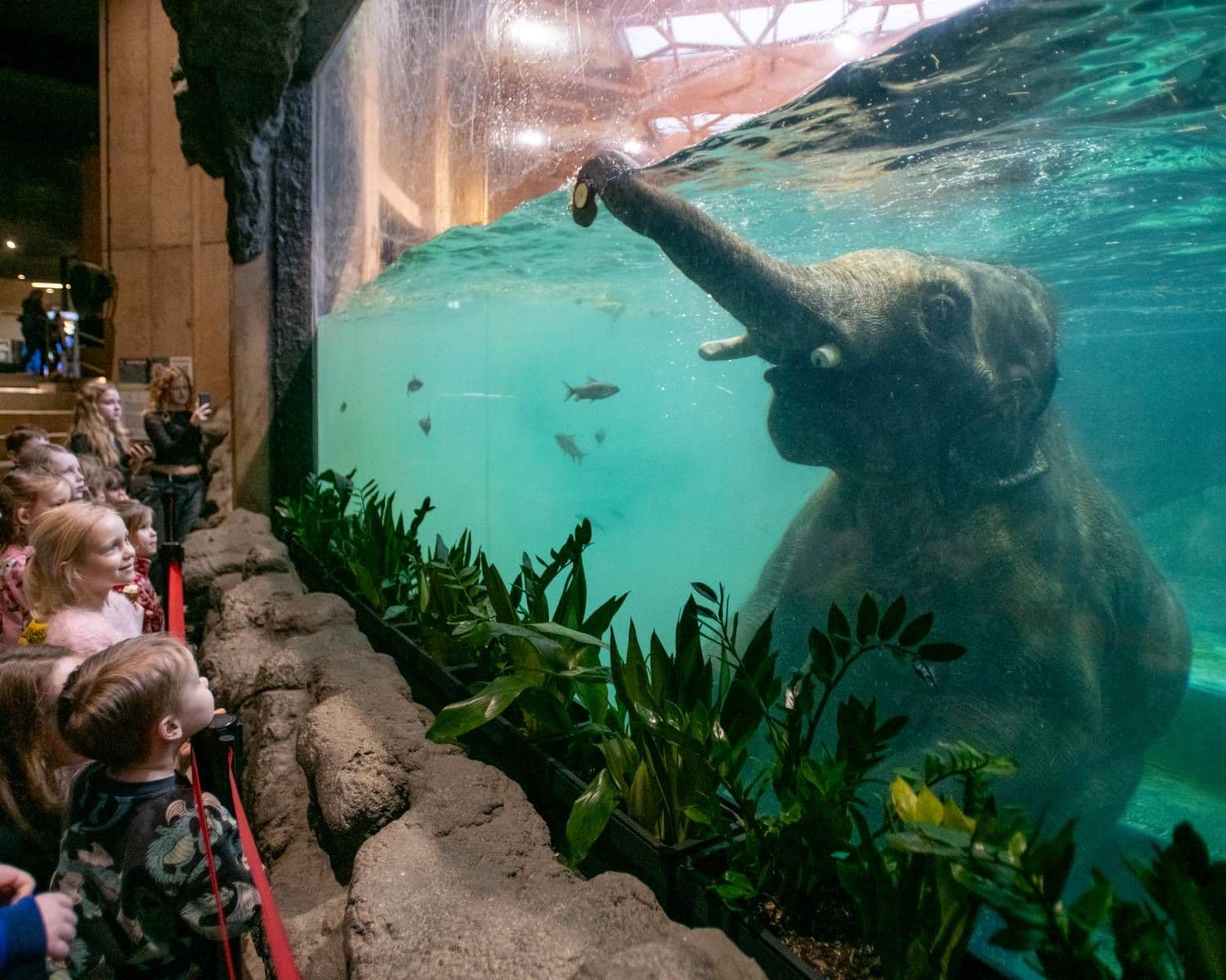 Łódź Zoo & Orientarium – A Journey Through Asia