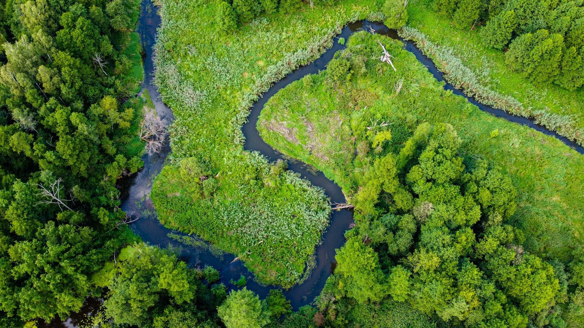 Bolimów Forest & Rawka River – A Hidden Nature Escape Near Warsaw