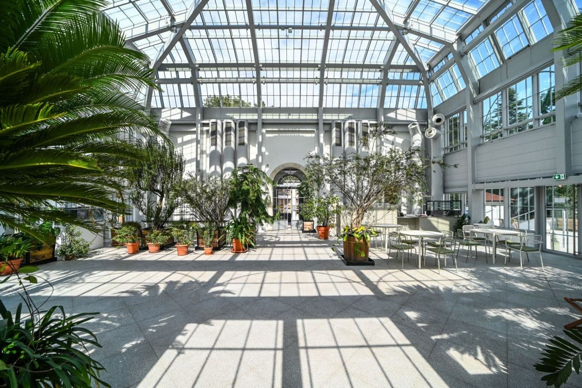 Jagiellonian University Botanical Garden Kraków – A Historic Green Oasis