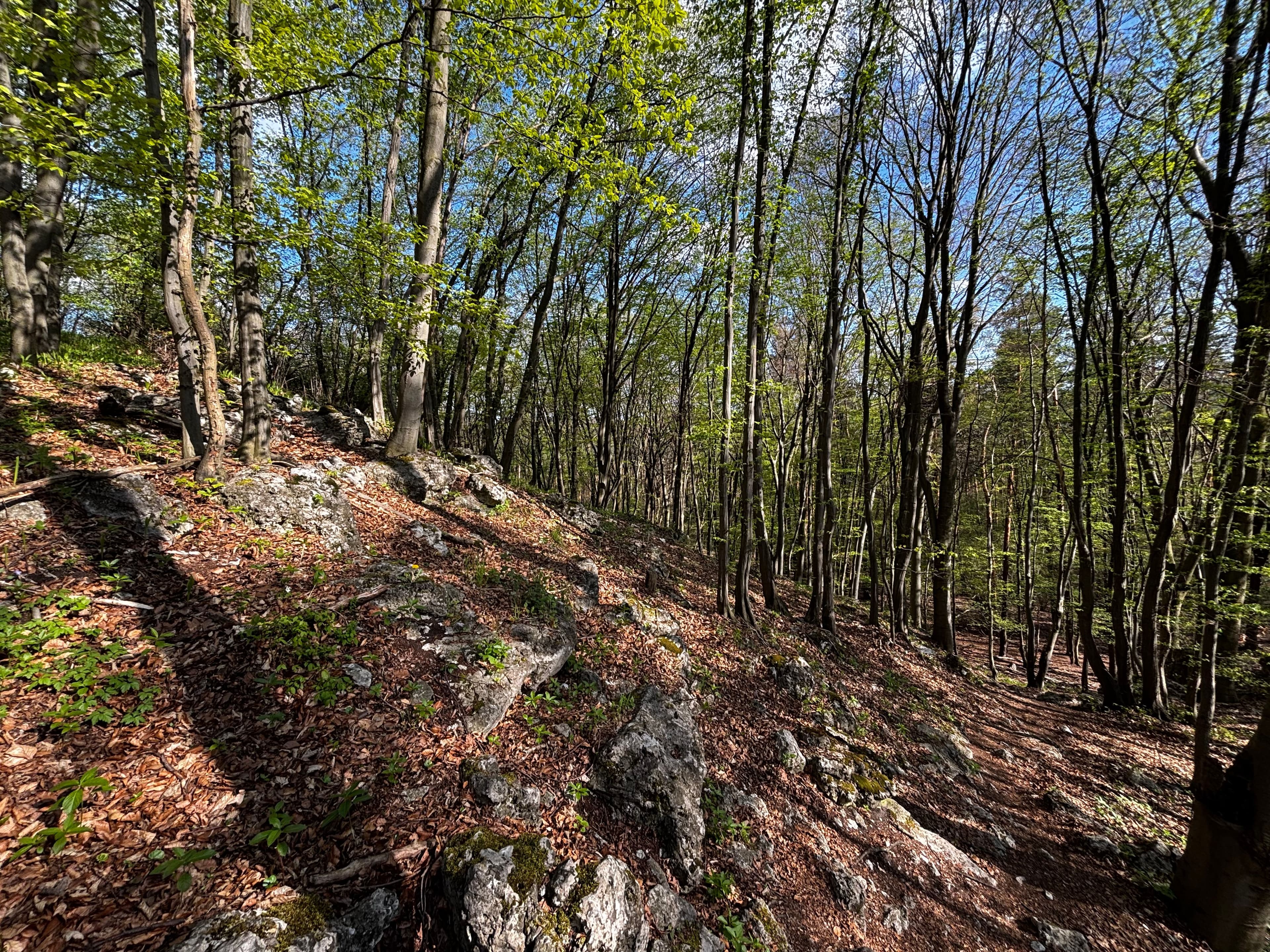 Podgórki Tynieckie Kraków – Scenic Trails, Viewpoints and Nature Escape