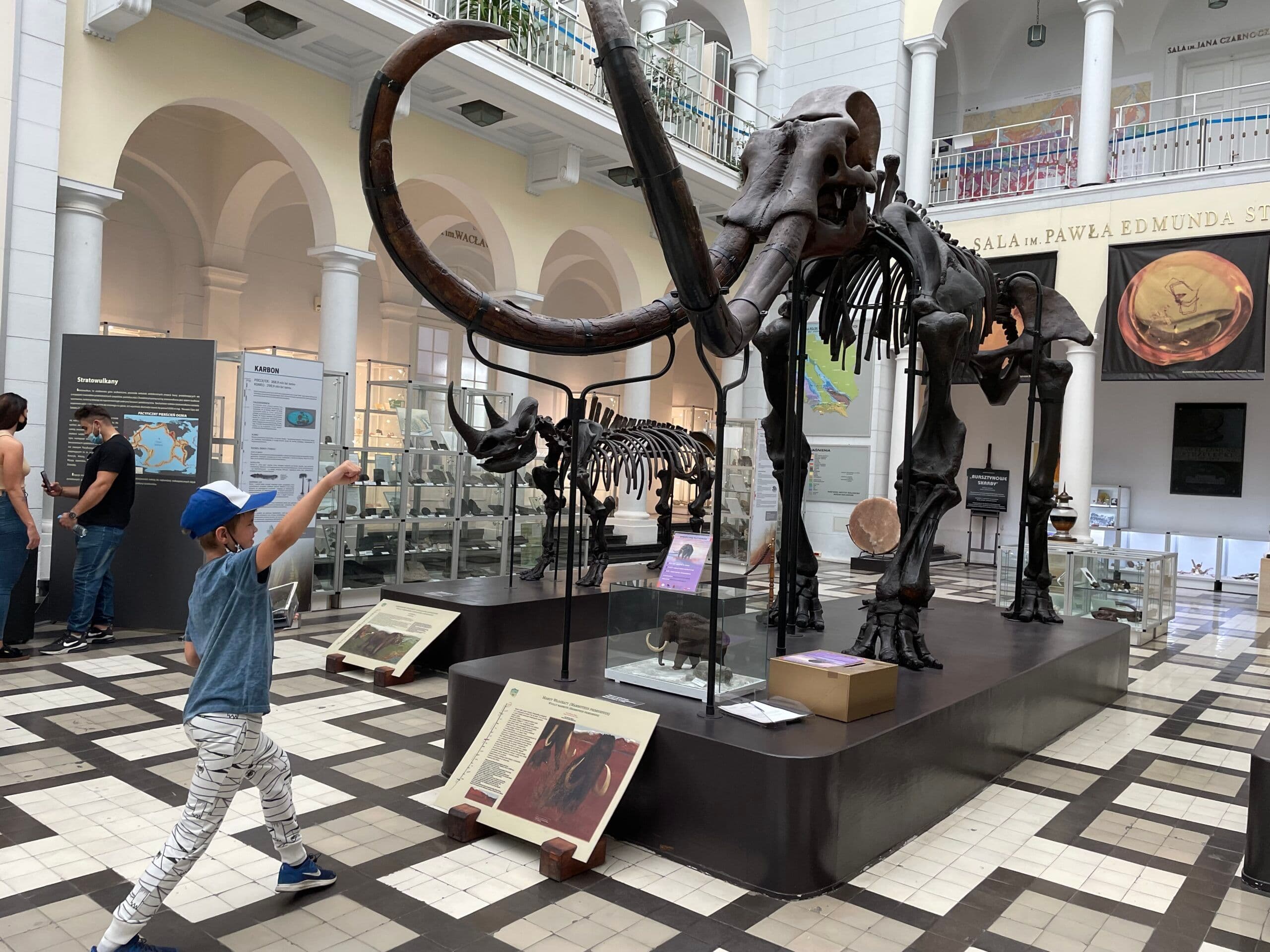 Geological Museum Warsaw – Dinosaurs, Mammoths and Meteorites
